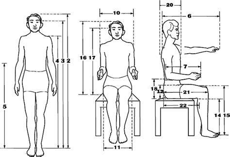 History And Basics Of Anthropometry