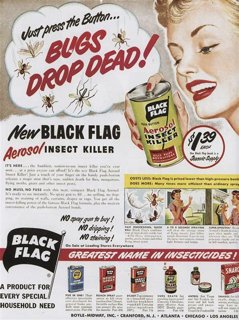 1950s Ads: A Collection of Timeless Quirky Designs
