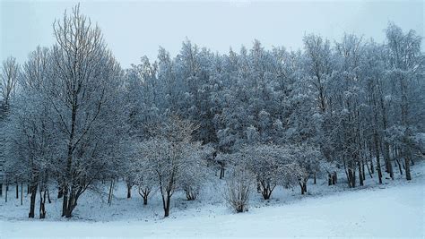 Winter in Lithuania (57) | Lithuania, Winter, Outdoor