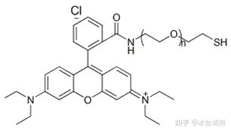 罗丹明聚乙二醇巯基 Sh Peg Rhodamine Rhodamine Peg Sh 知乎