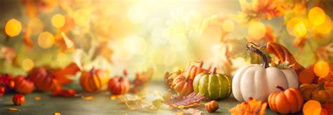 Autumn Pumpkin Facebook Cover