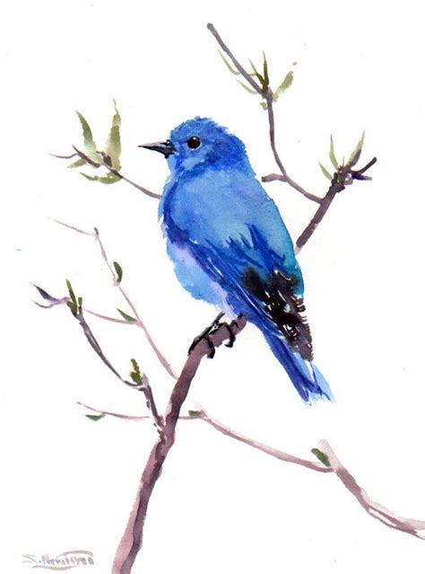 Mountain Bluebird Original Watercolor Painting X In Etsy Blue