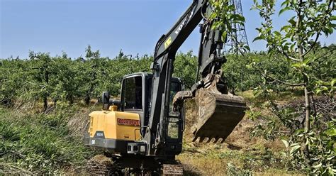 과수화상병 충주·제천서 추가 발생충북 누적 29건