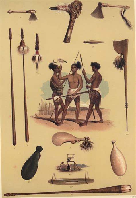 Large Image View from Plates 41 60 Māori culture Maori people