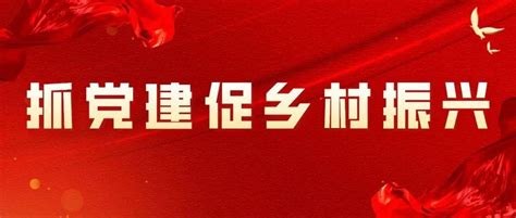 喜迎二十大 抓党建促乡村振兴怀北镇念好三字诀 多措并举赋能乡村振兴 服务大局 活动 网格