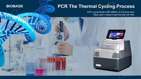 The Thermal Cycling Process News Biobase