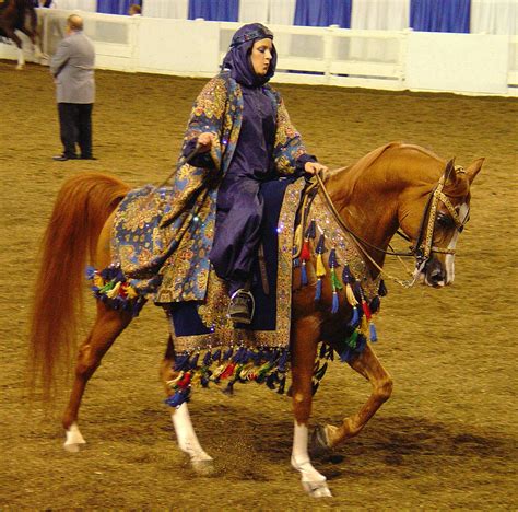 File:Native Arabian Costume Horse (2668748231).jpg - Wikimedia Commons