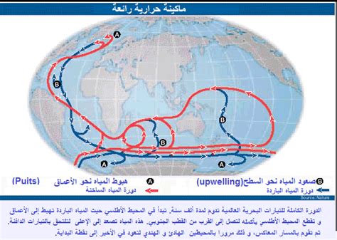 امواج المغرب أهمية التيارات البحرية