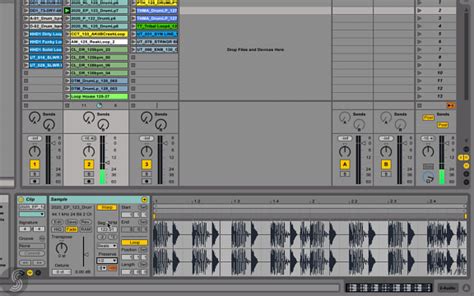 Warping In Ableton Live Sound Training Online