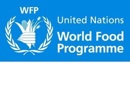 Logo of the WFP | SIMCenter