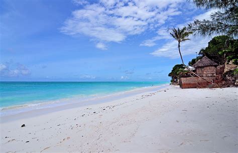 Zanzibar Holidays Find Great Zanzibar Holiday Packages At It Started