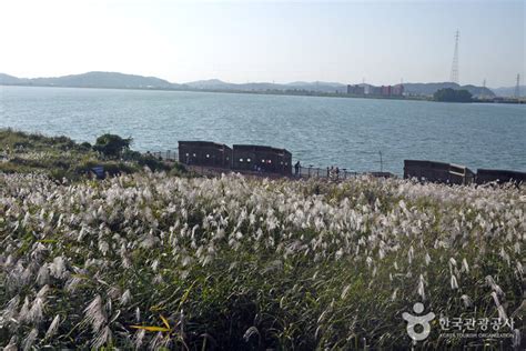 금강습지생태공원 관광 정보와 주변 관광 명소 및 근처 맛집 여행 정보