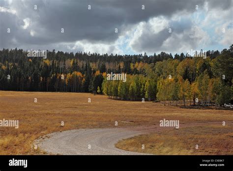 Autumn Fields Stock Photo Alamy