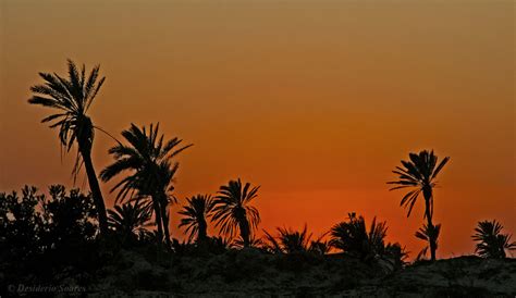 Sunset Djerba Tunisia Sony Dsc Desidério Soares Flickr