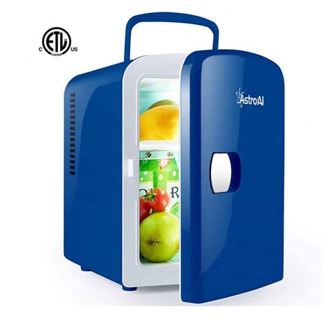 Top 10 Best Portable Mini Fridges In 2021 Reviews Go On Products