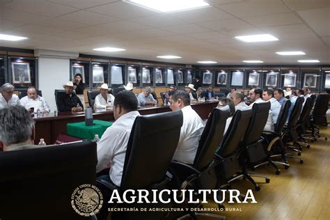 Acuerdan productores industria y gobierno esquema comercial para maíz