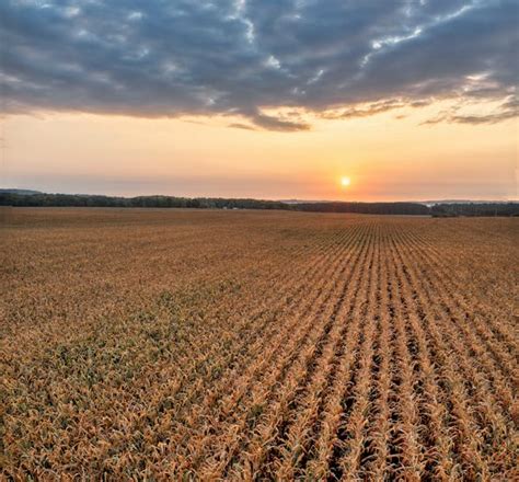 Farmland Sunset Photos Download The Best Free Farmland Sunset Stock