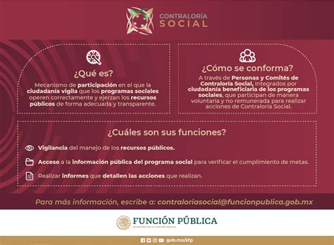 Qu Es C Mo Se Conforma Cu Les Son Sus Funciones Infograf A De