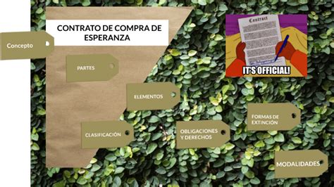 Contrato Compra De Esperanza By Ana Barron Garcia On Prezi