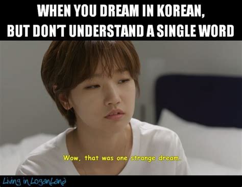 Would I Be Able To Understand Korean When I Have More Of These Dreams😂