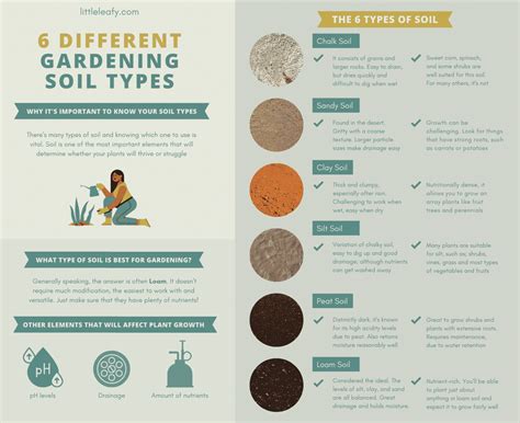 6 Different Gardening Soil Types (Explained) - Little Leafy