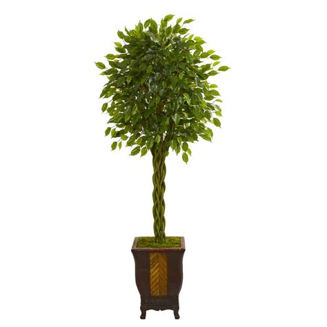 Nearly Natural 6 Ft Braided Ficus Artificial Tree In Decorative