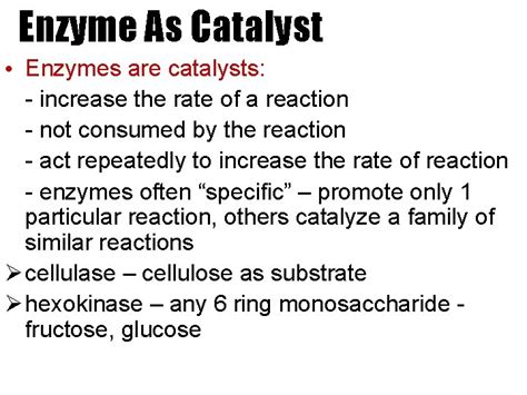 ENZYME BIOLOGICAL CATALYST Enzyme As Catalyst All enzymes