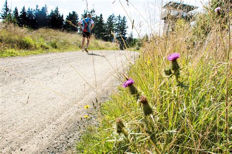 schönsten Trailrunning Strecken in Mittlerer Thüringer Wald