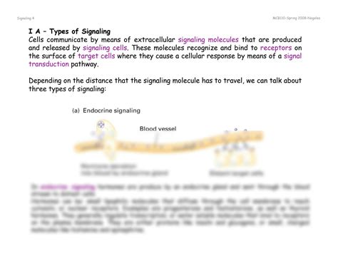 Solution Mcb Cell Signaling Molecular Biology Studypool