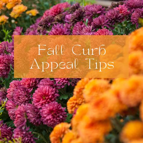 Fall Curb Appeal Tips Kathy Rukat Smith RealtorⓇ