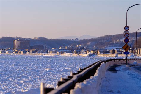 衝撃！青いカレーって知ってる？ オホーツク流氷カリーの特徴や歴史背景などを解説｜prezoプレゾ 北海道のお取り寄せグルメと産直通販