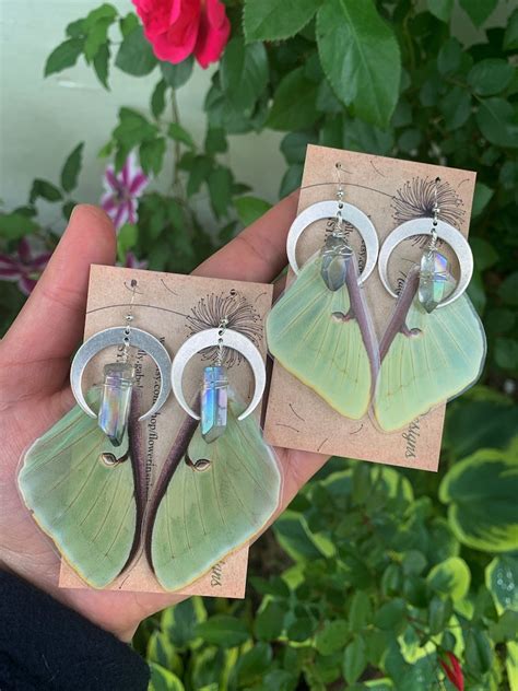 Luna Moth Earrings Real Butterfly Wing Earrings Gold Etsy