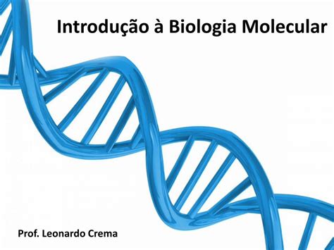 Pdf Introdu O Biologia Molecular De Maneira Linear Nos Cromossomos