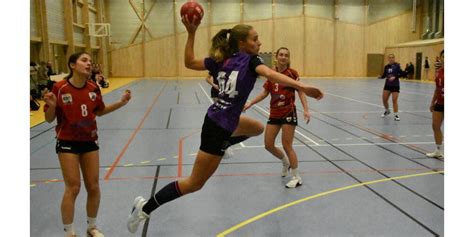 Handball Nationale F Minine Dole Chaussin Choue Face Au Leader