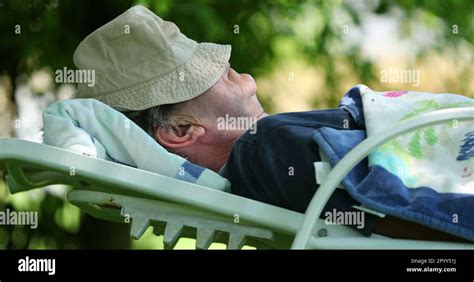 Older Man Sleeping Under Tree Senior Retired Man Napping Outside Stock