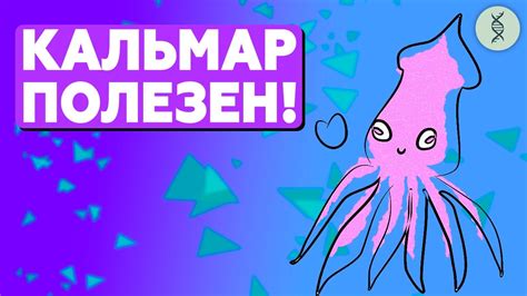 Консервированный КАЛЬМАР лучше ТУНЦА? - YouTube