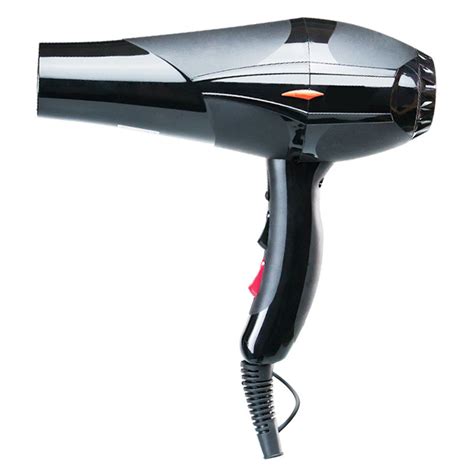 Customizable Ionic Light Shift Professional Hair Dryer Hot Hair Care And Hair Straightener Price