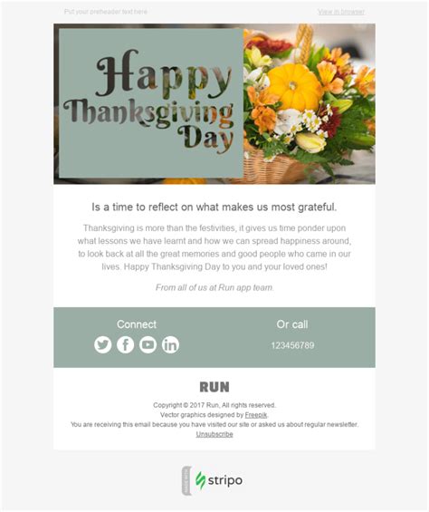 9 Free Thanksgiving HTML Email Templates [2024]