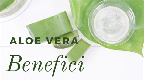 Come Preparare Il Gel D Aloe Vera C6 Beauty