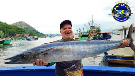 PESCARIA GOLDEN REI OUTUBRO 2022 ATUM CAVALAS DOURADOS RIO DE JANEIRO