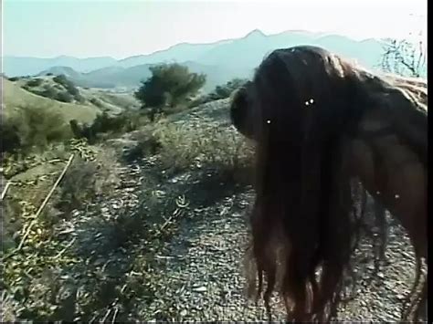 Jonge Brunette Wordt Geneukt En Afgeroomd In Het Bos Xhamster