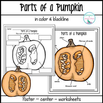 Parts Of A Pumpkin Labeling Activities By Dinosaurs And Fairy Dust