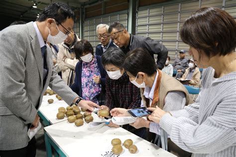 高品質キウイ出荷を 規格統一へ目ぞろえ会