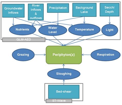 Periphyton Biomass Modeling Tahoe Environmental Research Center