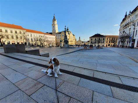 Things To Do in Pecs Hungary & What To See