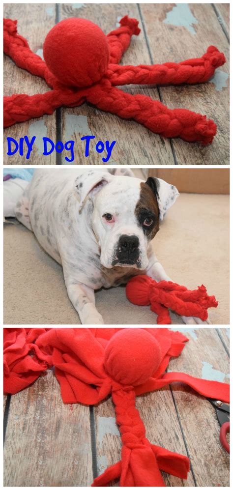 Make This Easy No Sew Diy Dog Toy Even If You Arent Crafty And Feed