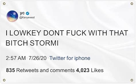 Amazon Annlefei I Lowkey Dont Fuck With That Bitch Stormi Flag Banner With Four Grommets