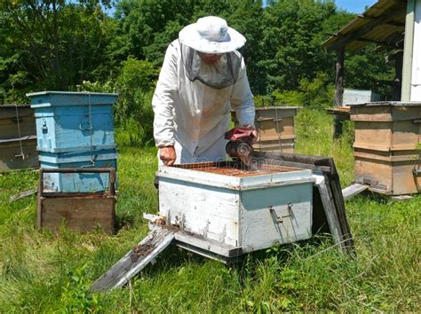 Beekeeper 24 Picture. Image: 5062085