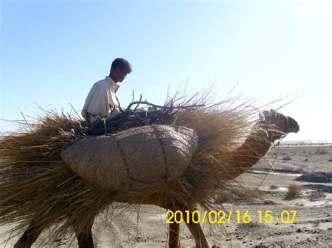 Graafix Baloch And Balochistan Pictures