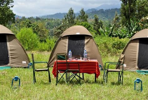 5 Days Group Joining Camping Safari The Best In Tanzania